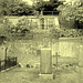 Helsingborg cemetery - Cimetière de Helsingborg- Sweden / Suède - The Olssons & Hanna / 22 octobre 2008 - À l'ancienne.
