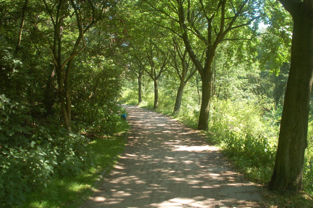 Fahrradtour9