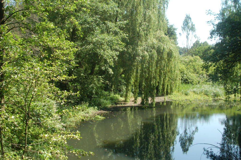 Fahrradtour13