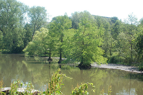 Fahrradtour18