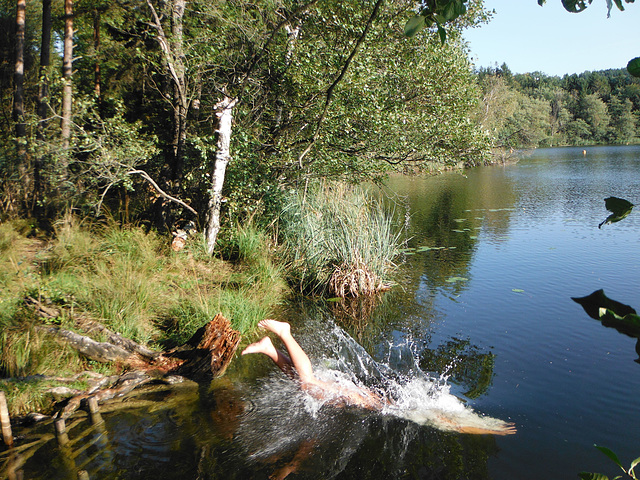 Tüttensee