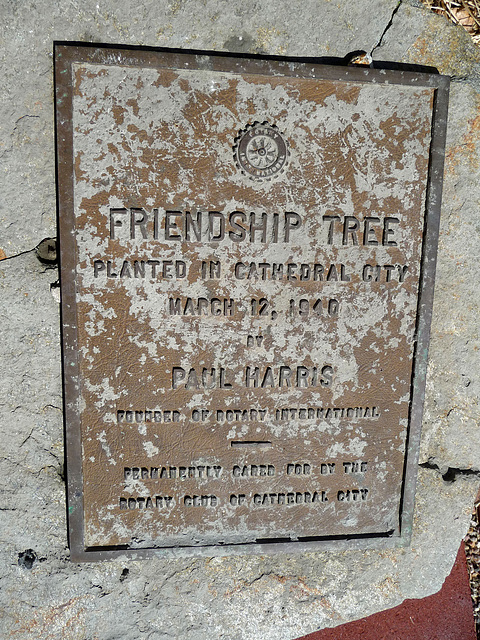 Friendship Tree (2398)