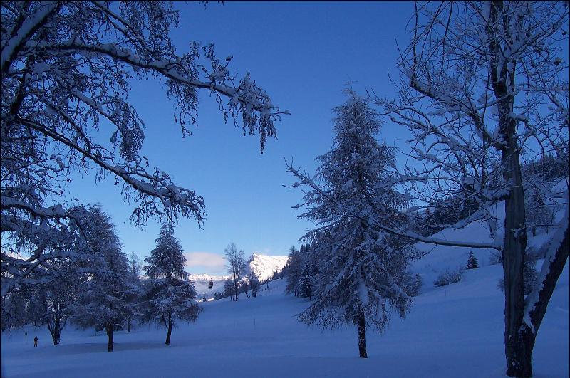 dans le froid du petit matin