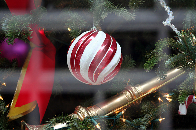 ChristmasTree.WashingtonPost.15L.NW.WDC.20dec08