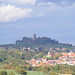Blick über Weiler mit Burg Steinsberg