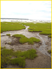 St-Lawrence river low tide eyesight - Fleuve à marée basse / Rimouski, Québec. CANADA. 11 août 2007. Avec / With a flash.