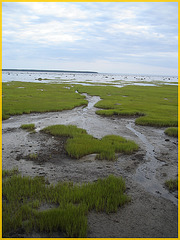 St-Lawrence river low tide eyesight - Fleuve à marée basse -  Rimouski- Québec- CANADA. 11 août 2007. Without / Sans flash.