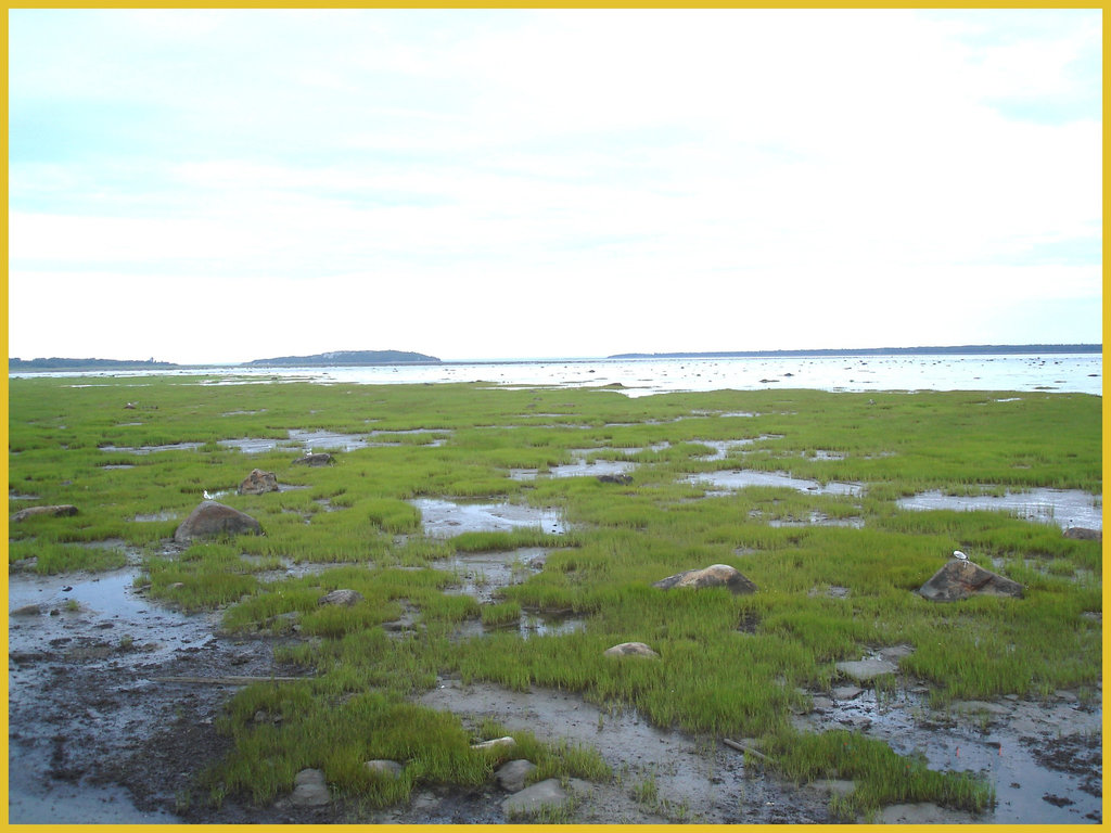 St-Lawrence river low tide eyesight - Fleuve à marée basse -  Rimouski- Québec- CANADA. 11 août 2007