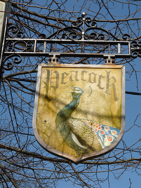'Peacock' Pub Sign
