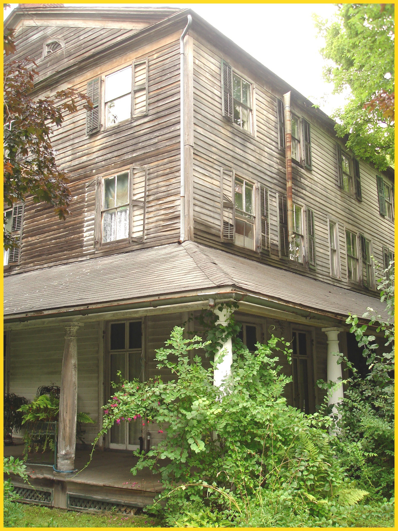 Living haunted mansion / Maison hantée et habitée