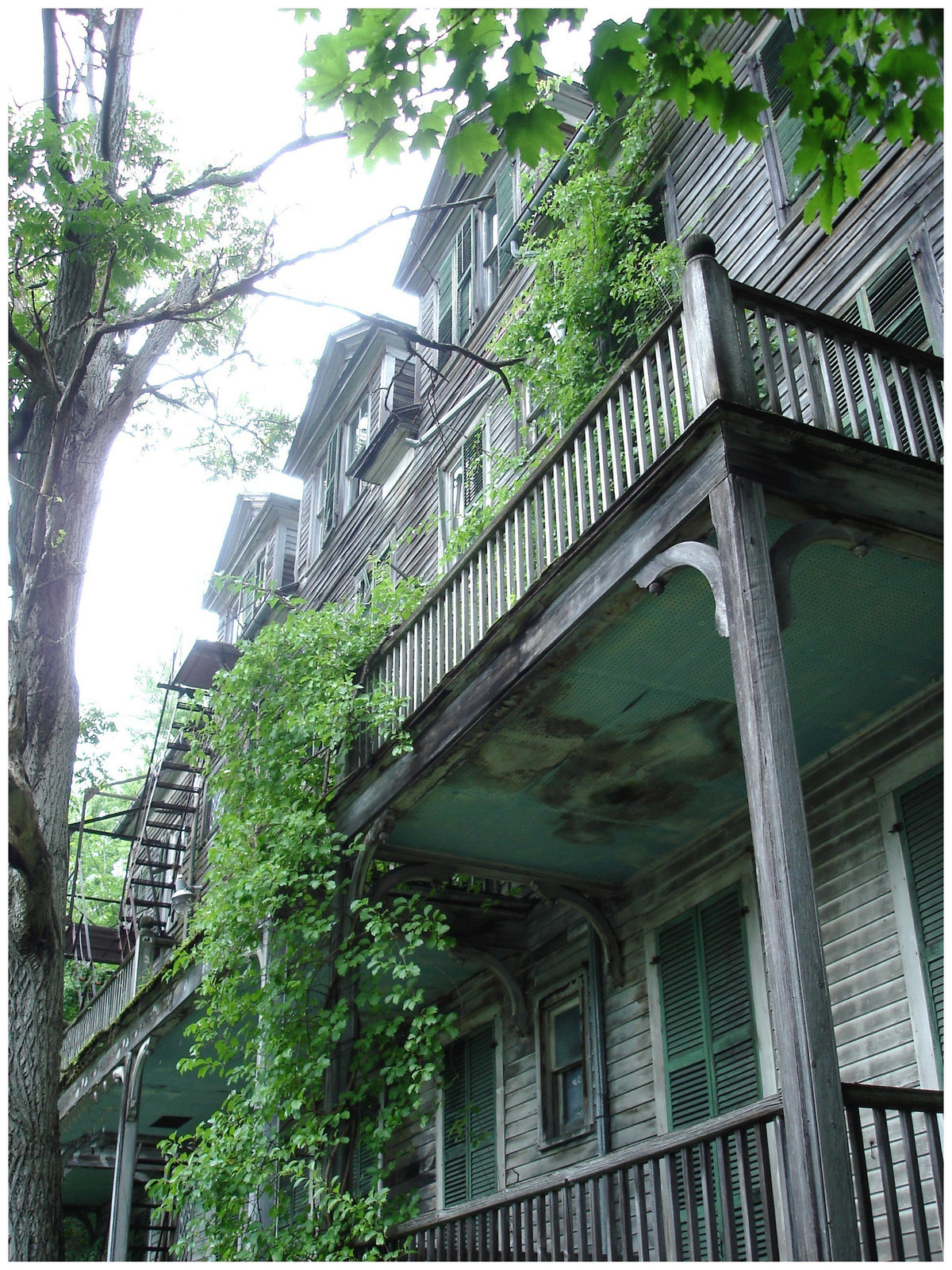 Living haunted mansion / Maison hantée et habitée