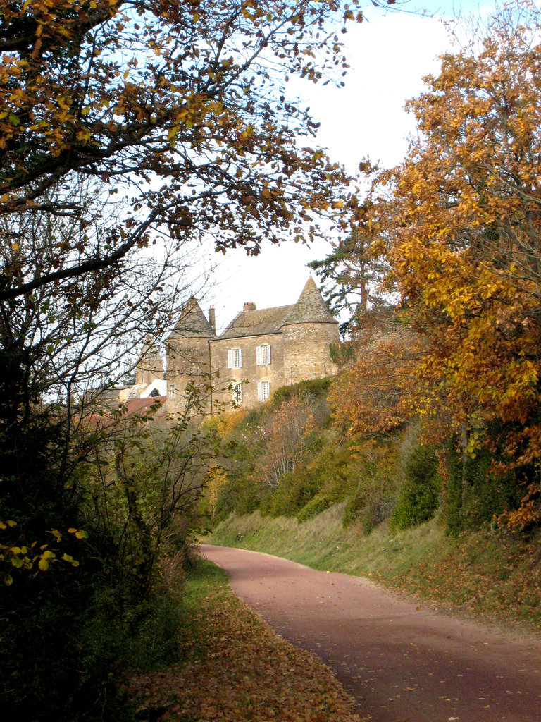 Château de Brancion