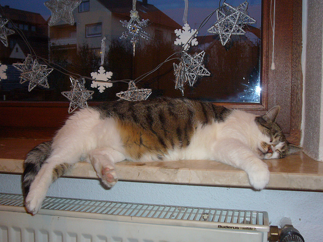 Weihnachten 2008