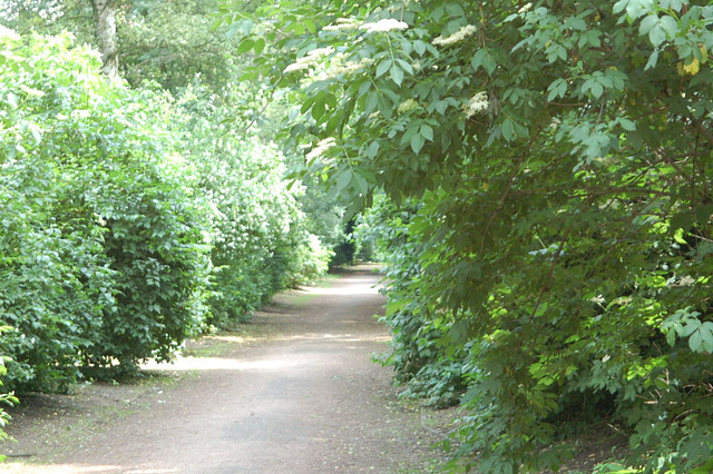 Fahrradtour63