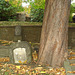 Helsingborg cemetery - Cimetière de Helsingborg-  Suède / Sweden - Jenny.  22 octobre 2008
