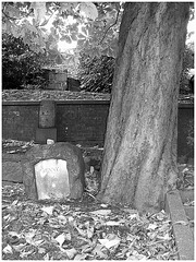 Helsingborg cemetery - Cimetière de Helsingborg-  Suède / Sweden -Jenny / 22 octobre 2008. Noir et blanc.