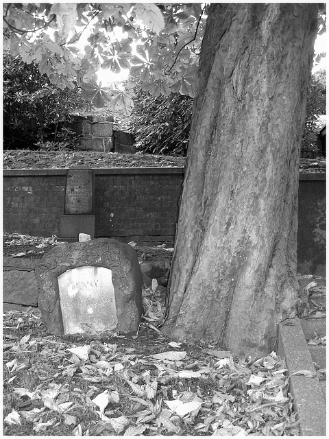 Helsingborg cemetery - Cimetière de Helsingborg-  Suède / Sweden -Jenny / 22 octobre 2008. Noir et blanc.