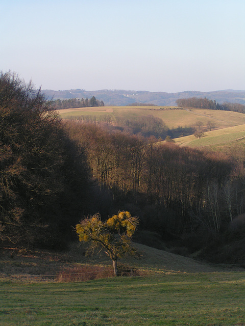 Odenwald - Wanderweg zum Götzenstein