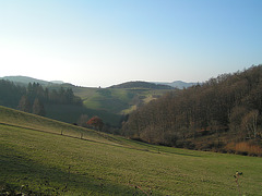 Odenwald - Wanderweg zum Götzenstein