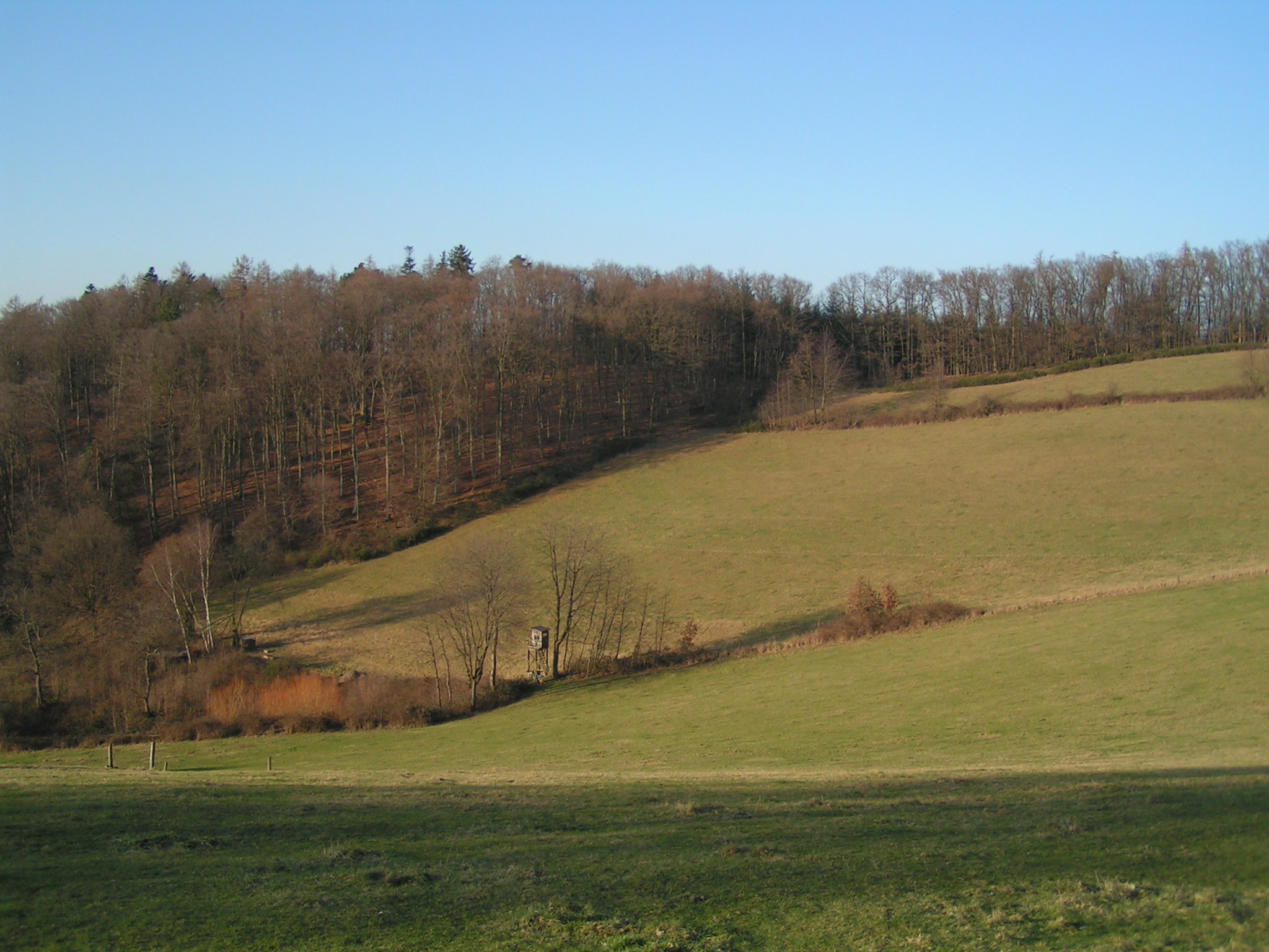 Odenwald - Wanderweg zum Götzenstein