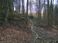 Odenwald - Wanderweg zum Götzenstein