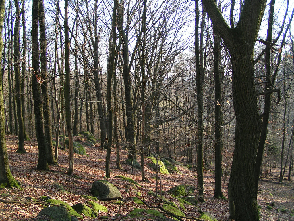 Odenwald - Wanderweg zum Götzenstein