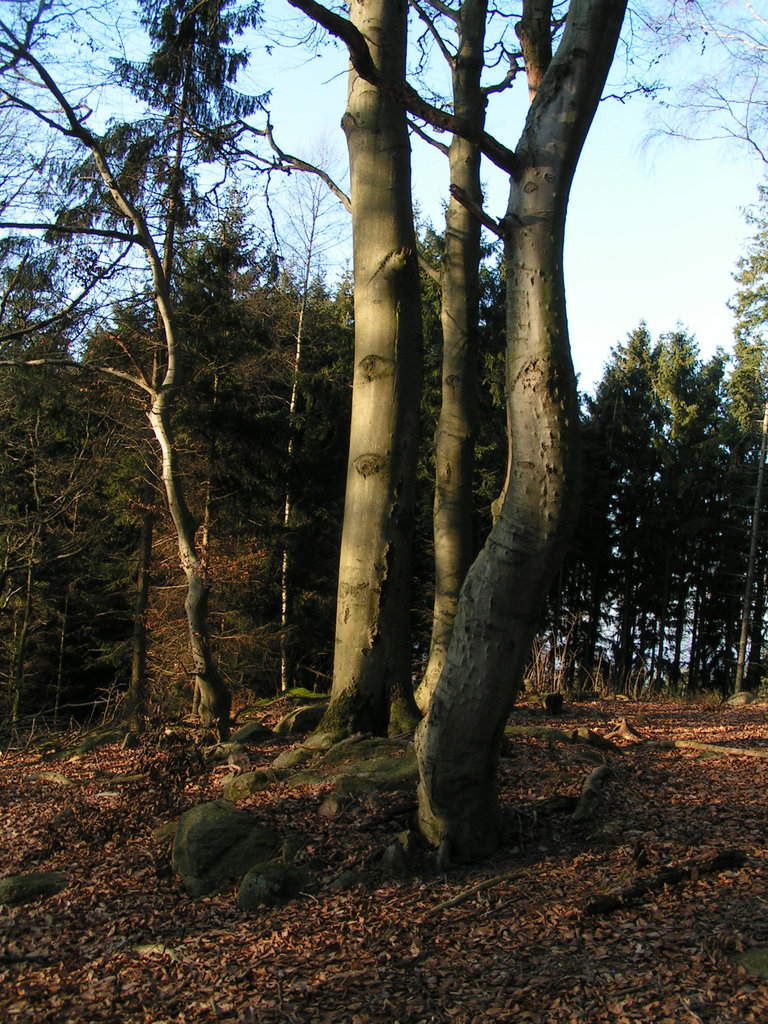 Götzenstein