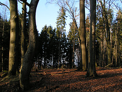 Götzenstein