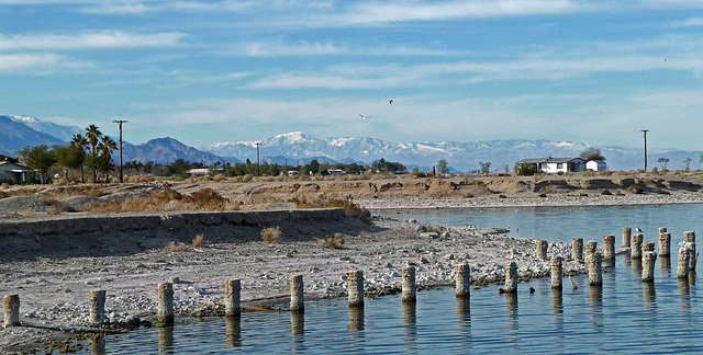 West Shore View of San Gorgonio (2424)