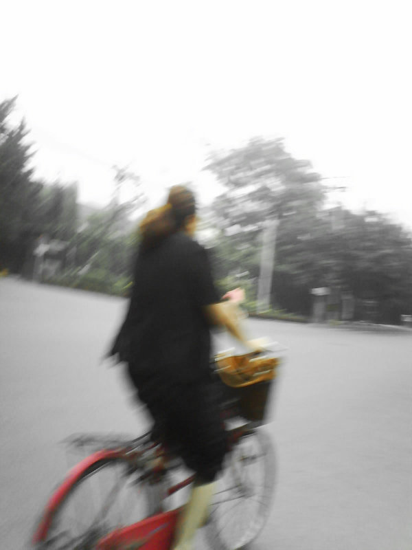 Bicyklov je stale dost