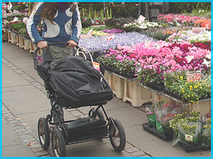 Jolie Maman Danoise tout en fleur- Botanical Danish sexy Mom- Copenhague. 20 octobre 2008.