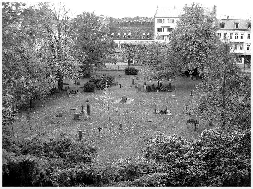 Helsingborg cemetery - Cimetière de Helsingborg-  Suède / Sweden - From the top of the hill - Du haut de la colline / 22 octobre 2008 - Noir et blanc.