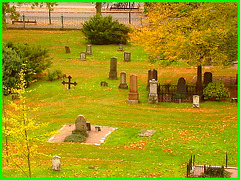 Helsingborg cemetery - Cimetière de Helsingborg-  Suède / Sweden - From the top of the hill - Du haut de la colline - Recadrage- Close-up / 22 octobre 2008