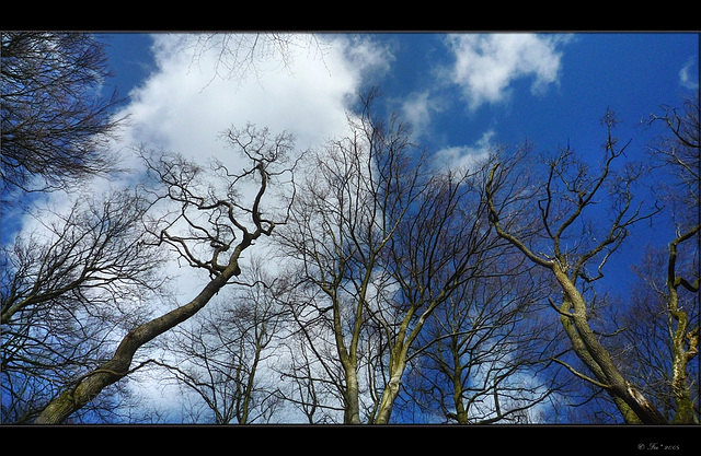 Der Himmel über Kiel