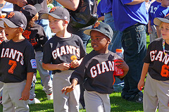 Giants (3805)