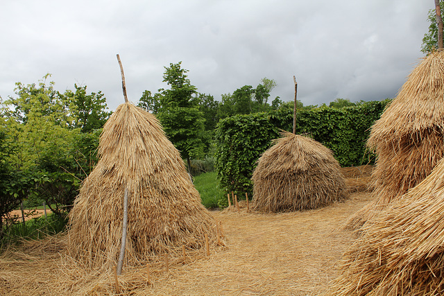 Des Meules impressionnantes - Jardin 15 (7)