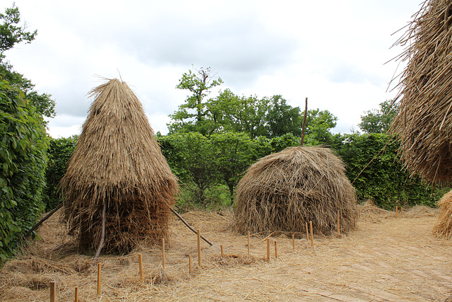 Des Meules impressionnantes - Jardin 15 (9)