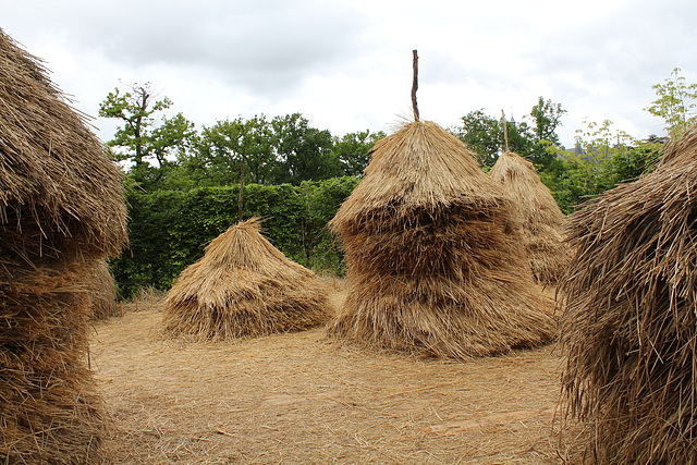 Des Meules impressionnantes - Jardin 15