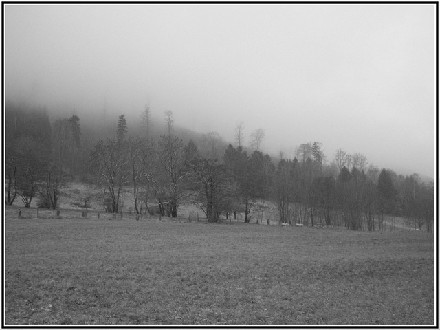 Dezemberwetter