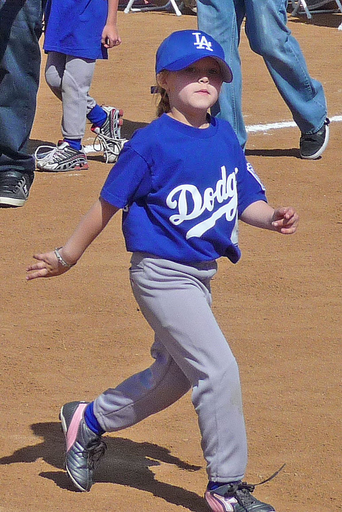 Dodger (3822)