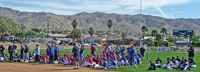 Little Leaguers (3812)