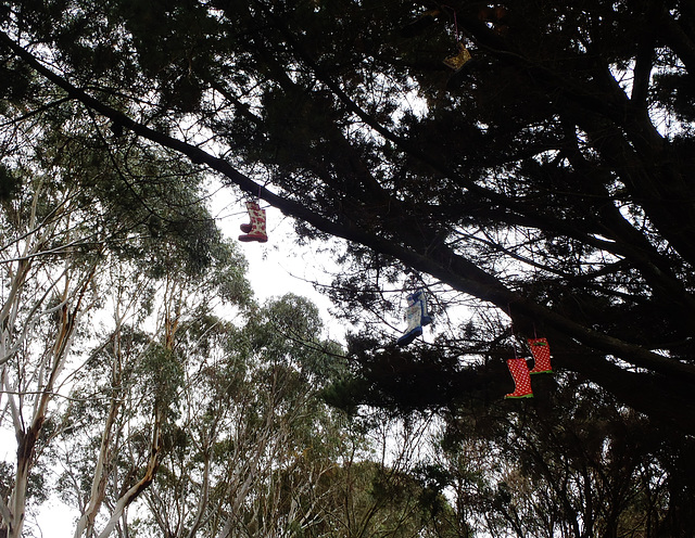 our gumboot installation