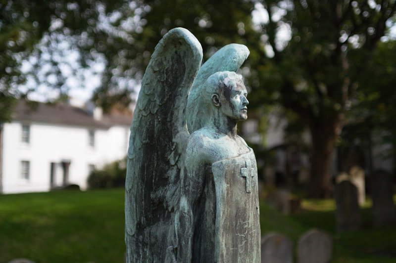 Angel Ricoh GXR Ricoh M Mount Carl Zeiss 35mm Biogon f2.0