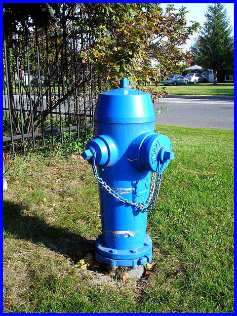 Borne à incendie - Firemen spring  /    Vive le BLEU !!!!!!   I love the BLUE color !!!!   Dans ma ville - Hometown.