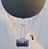 Balloon and bird