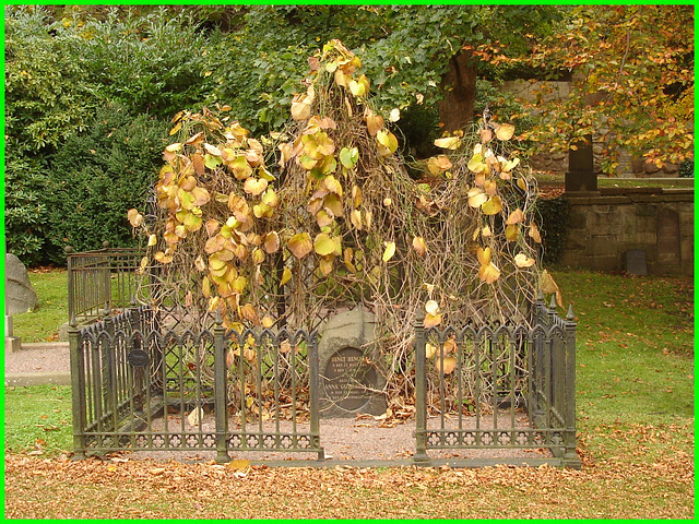 Cimetière de Helsingborg - Helsingborg cemetery- Sweden / Suède- Bengt & Anna  dans le branchage- Anna and Bengt in the branches . 22 octobre 2008