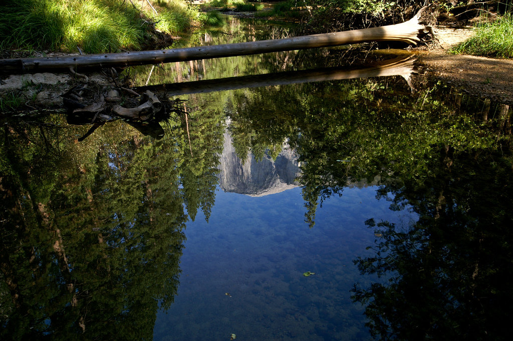 Yosemite National Park