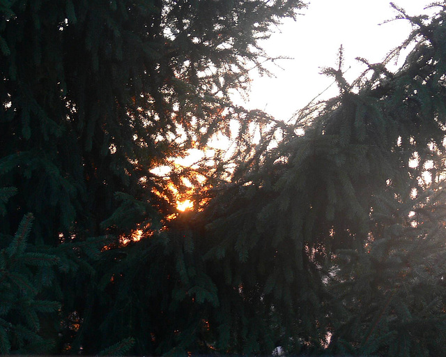 Sunset 31.12.2008
