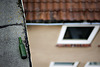 Bottle on the roof