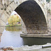 Le Pont Vieux à Limoux